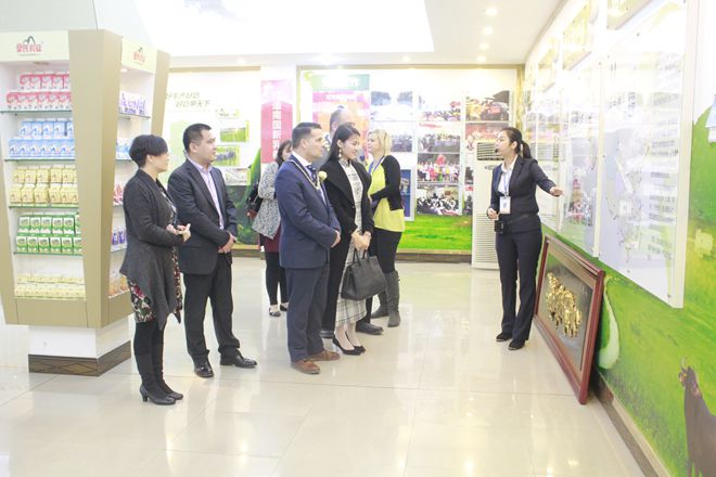 英国市长代表团及华商代表到AG旗舰厅集团参观考察