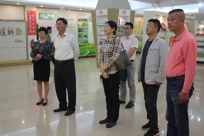 南宁市保稳定促发展第十一督导组第二督导小组莅临AG旗舰厅集团调研