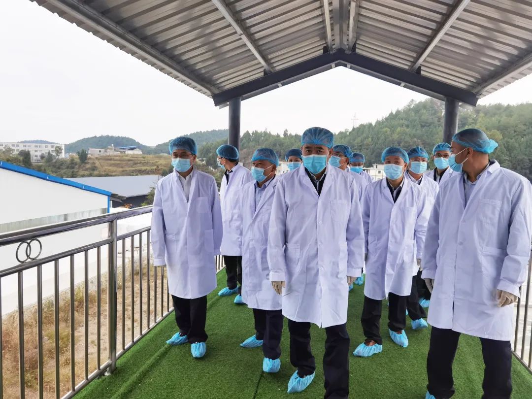 贵州省人大常委会副主任桑维亮莅临AG旗舰厅集团遵义乳业德江德源牧场调研