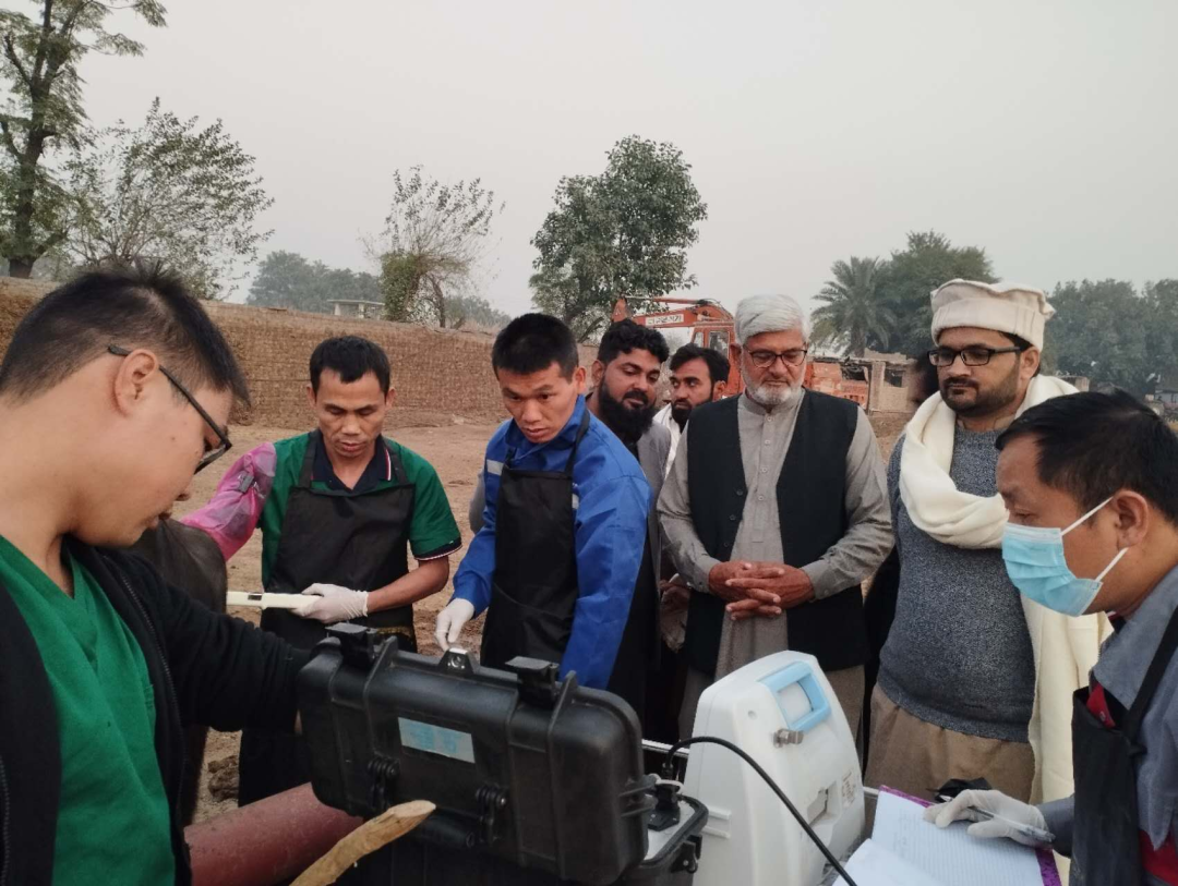 AG旗舰厅赛尔体外胚胎技术为巴基斯坦产奶冠军水牛保种，突破良种奶？旆